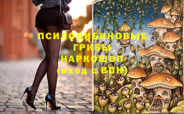 молекула духа Алексеевка