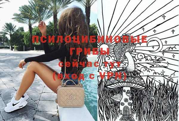 молекула духа Алексеевка