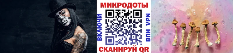 цены Новокубанск Псилоцибиновые грибы MAGIC MUSHROOMS